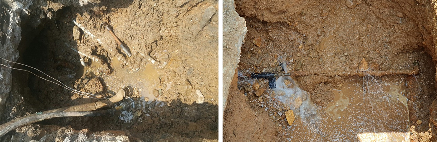 다발관, 불용관 제거