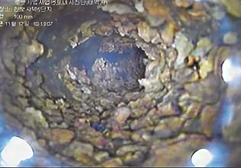 부단수 내시 카메라 이미지